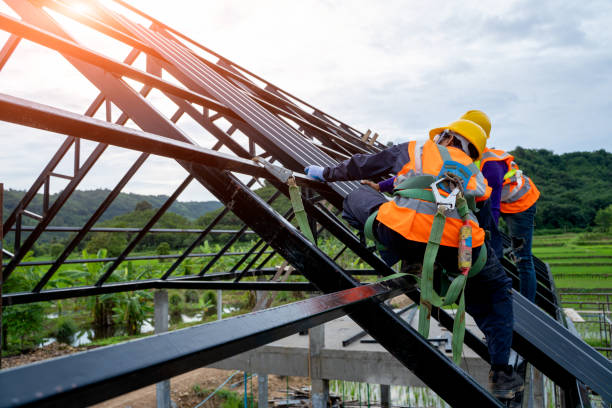 Best Roof Gutter Cleaning  in West Alexandria, OH