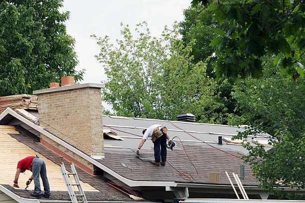 Best Storm Damage Roof Repair  in West Alexandria, OH