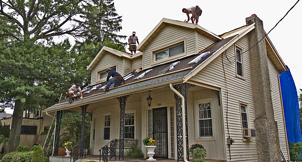 Best Roof Gutter Cleaning  in West Alexandria, OH